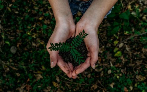 Circular economy or bust: A Q&A on sustainability with Emma Lewisham