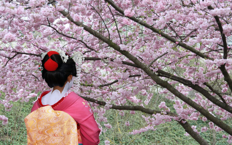 Japanese beauty
